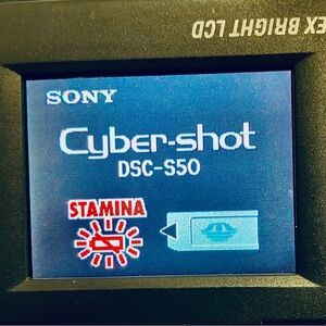 Sony Cyber-Shot DSC-S50 DigitalCamera Memory Card, Cables & Icon Camera Bag